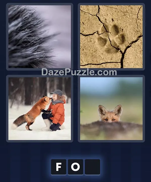 4 Pics 1 Word April 17 2026 Daily Puzzle