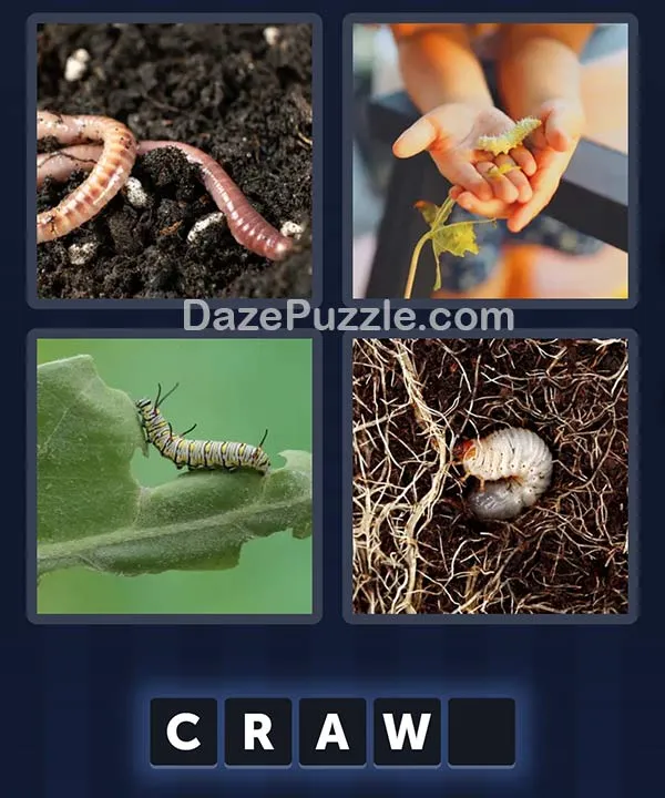 4 Pics 1 Word April 19 2026 Daily Bonus Puzzle