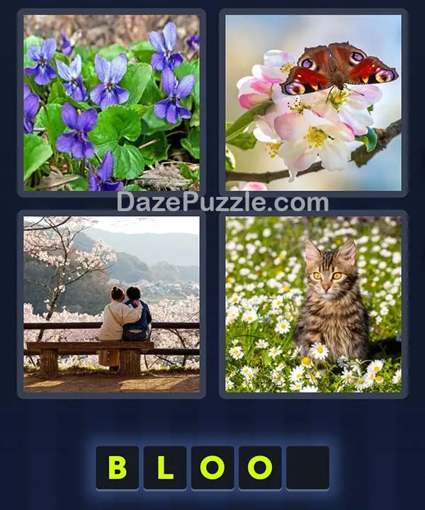 4 Pics 1 Word April 22 2026 Daily Bonus Puzzle