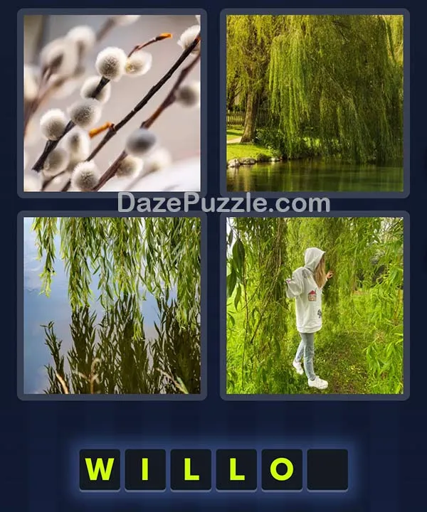 4 Pics 1 Word April 25 2026 Daily Puzzle