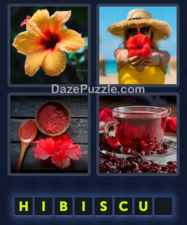 4 Pics 1 Word April 26 2026 Daily Bonus Puzzle