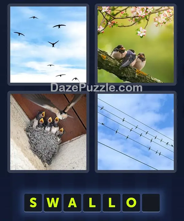 4 Pics 1 Word April 26 2026 Daily Puzzle