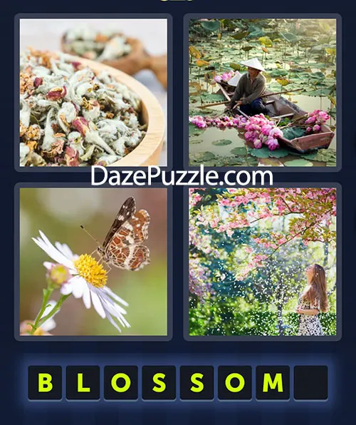4 Pics 1 Word April 27 2026 Daily Bonus Puzzle