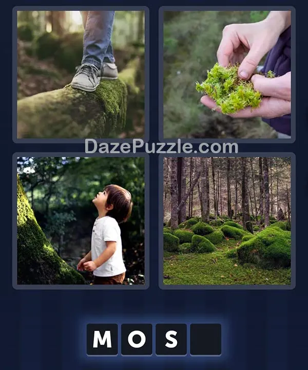 4 Pics 1 Word April 3 2026 Daily Puzzle