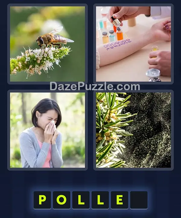 4 Pics 1 Word April 5 2026 Daily Bonus Puzzle