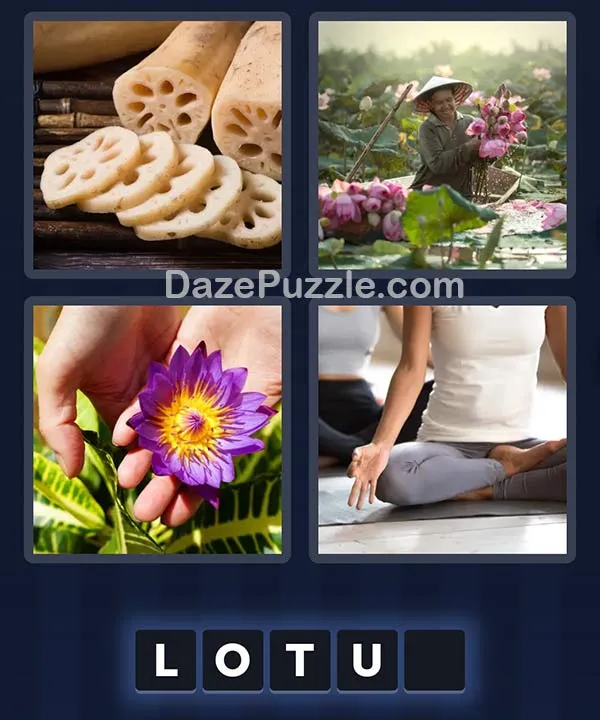 4 Pics 1 Word April 29 2026 Daily Bonus Puzzle