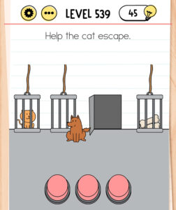 Brain Text Level 539 Help the cat escape.