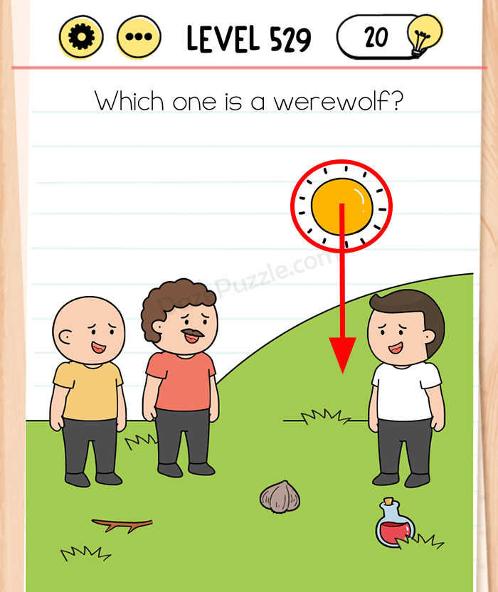 Brain Test Tricky Puzzles Level 529