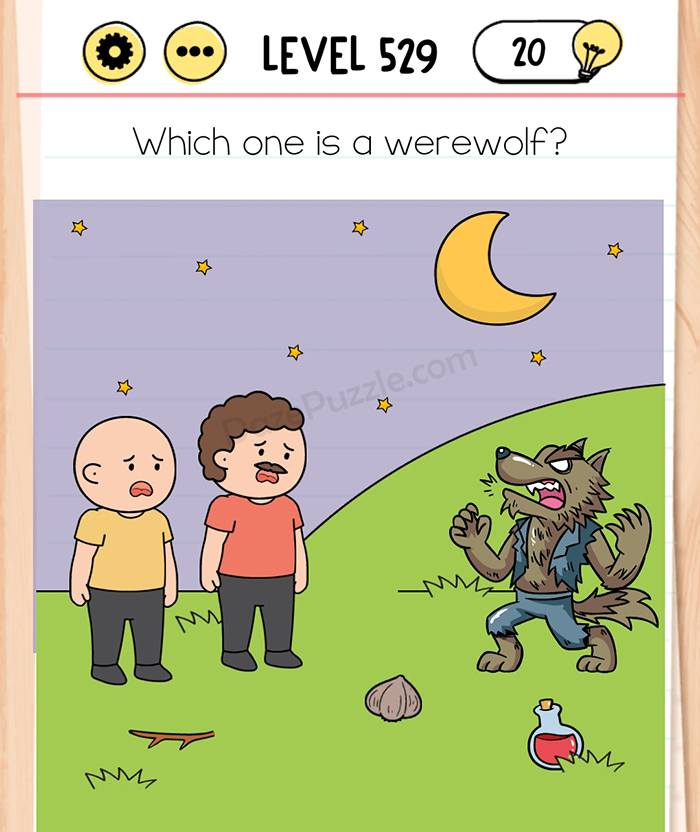 Brain Test Tricky Puzzles Level 529