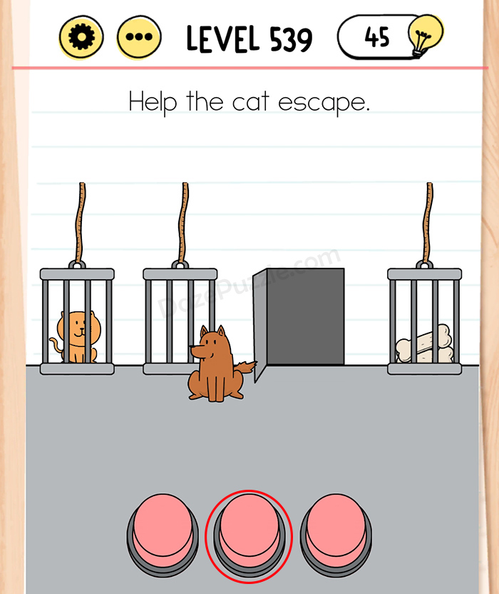 Brain Test Tricky Puzzles Level 539